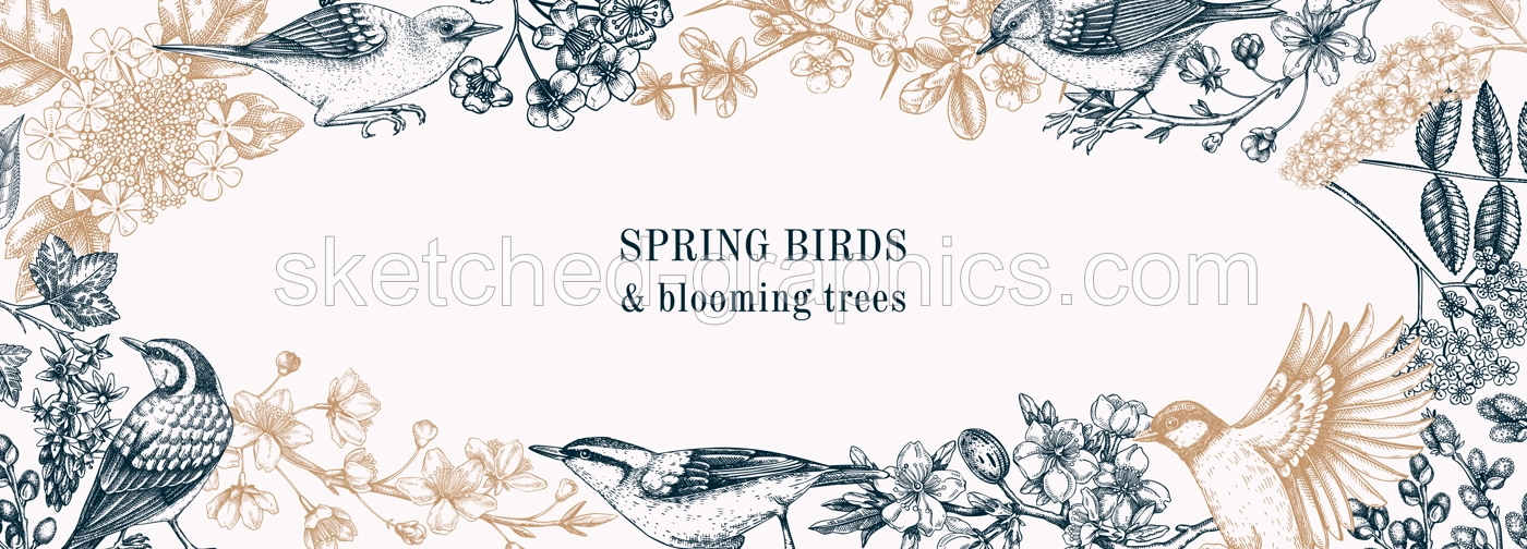 Spring garden frame designs. Vector background with birds, flowers, blooming tree branches in sketched style. Almond, willow, rowan, willow, cherry blossom banner. Hand drawn floral sketch  Illustration